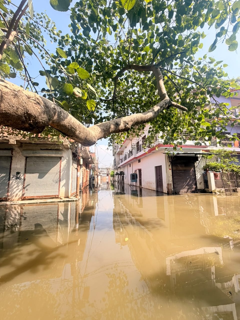 मिश्रीबाग के 150 घरों में भरा नाले का पानी। मिश्रीबाग के 150 घरों में भरा नाले का पानी।