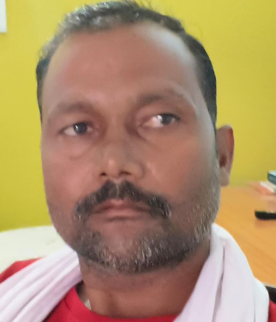 चिटकापुर निवासी मंगली के खेत में गिरी पड़ी बाजरे की फसल। संवाद चिटकापुर निवासी मंगली के खेत में गिरी पड़ी बाजरे की फसल। संवाद
