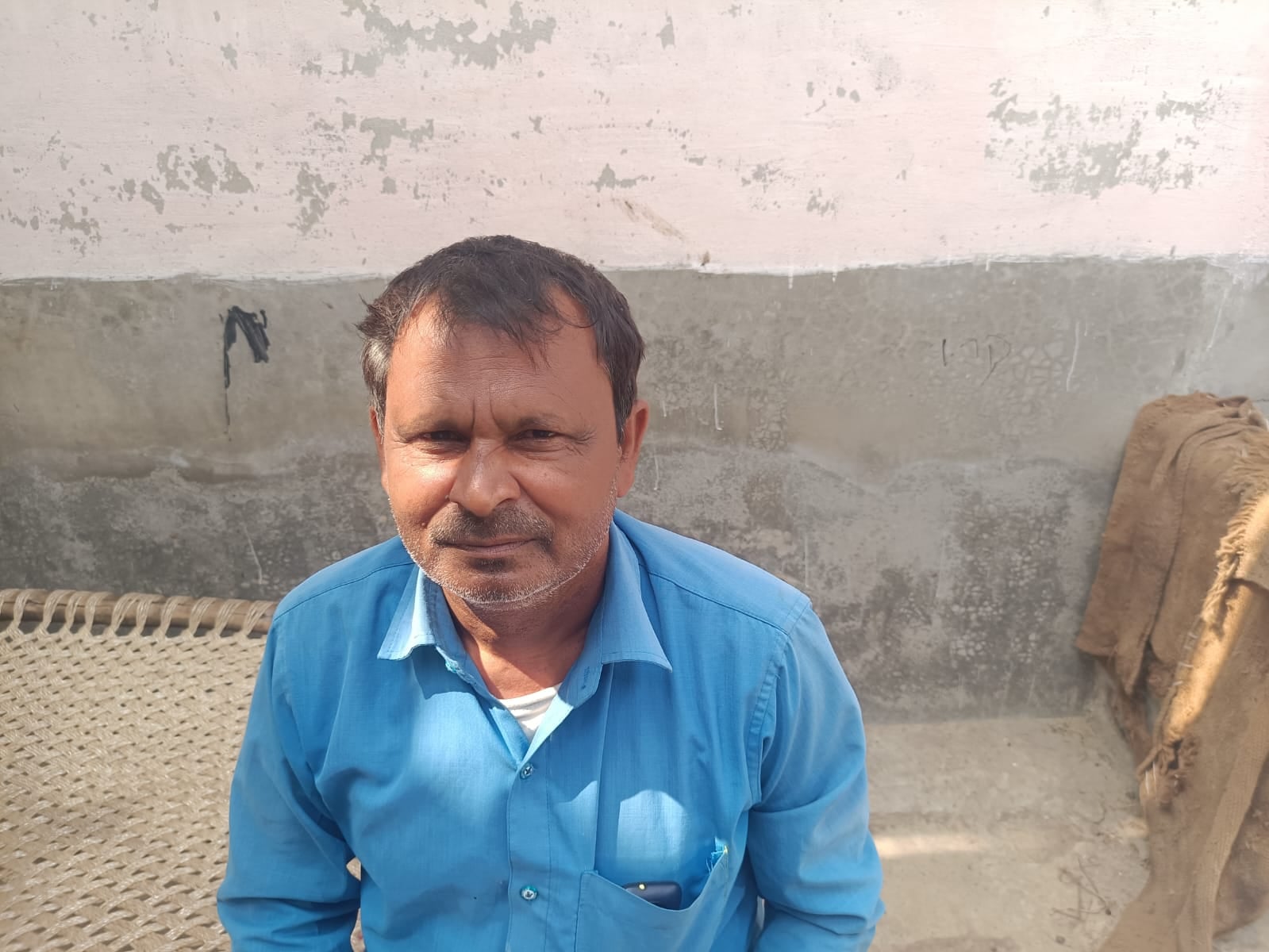 चिटकापुर निवासी मंगली के खेत में गिरी पड़ी बाजरे की फसल। संवाद चिटकापुर निवासी मंगली के खेत में गिरी पड़ी बाजरे की फसल। संवाद