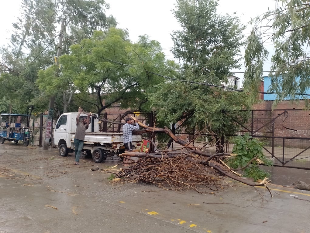 पानीपत अनाज मंडी में पानी में पड़ी एजेंसी की खरीदी धान की बोरी। संवाद पानीपत अनाज मंडी में पानी में पड़ी एजेंसी की खरीदी धान की बोरी। संवाद