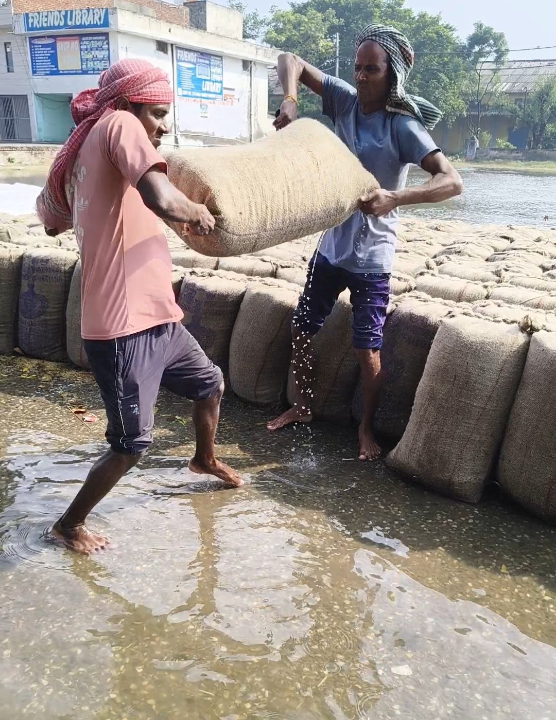 पानीपत अनाज मंडी में पानी में पड़ी एजेंसी की खरीदी धान की बोरी। संवाद पानीपत अनाज मंडी में पानी में पड़ी एजेंसी की खरीदी धान की बोरी। संवाद
