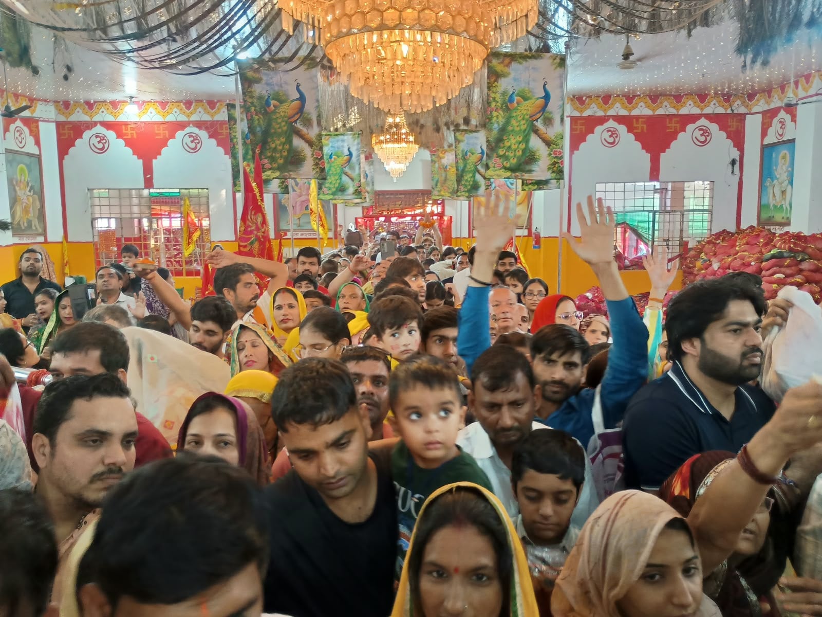 कृतिका गुजराती लुक वाली खबर के लिए कृतिका गुजराती लुक वाली खबर के लिए