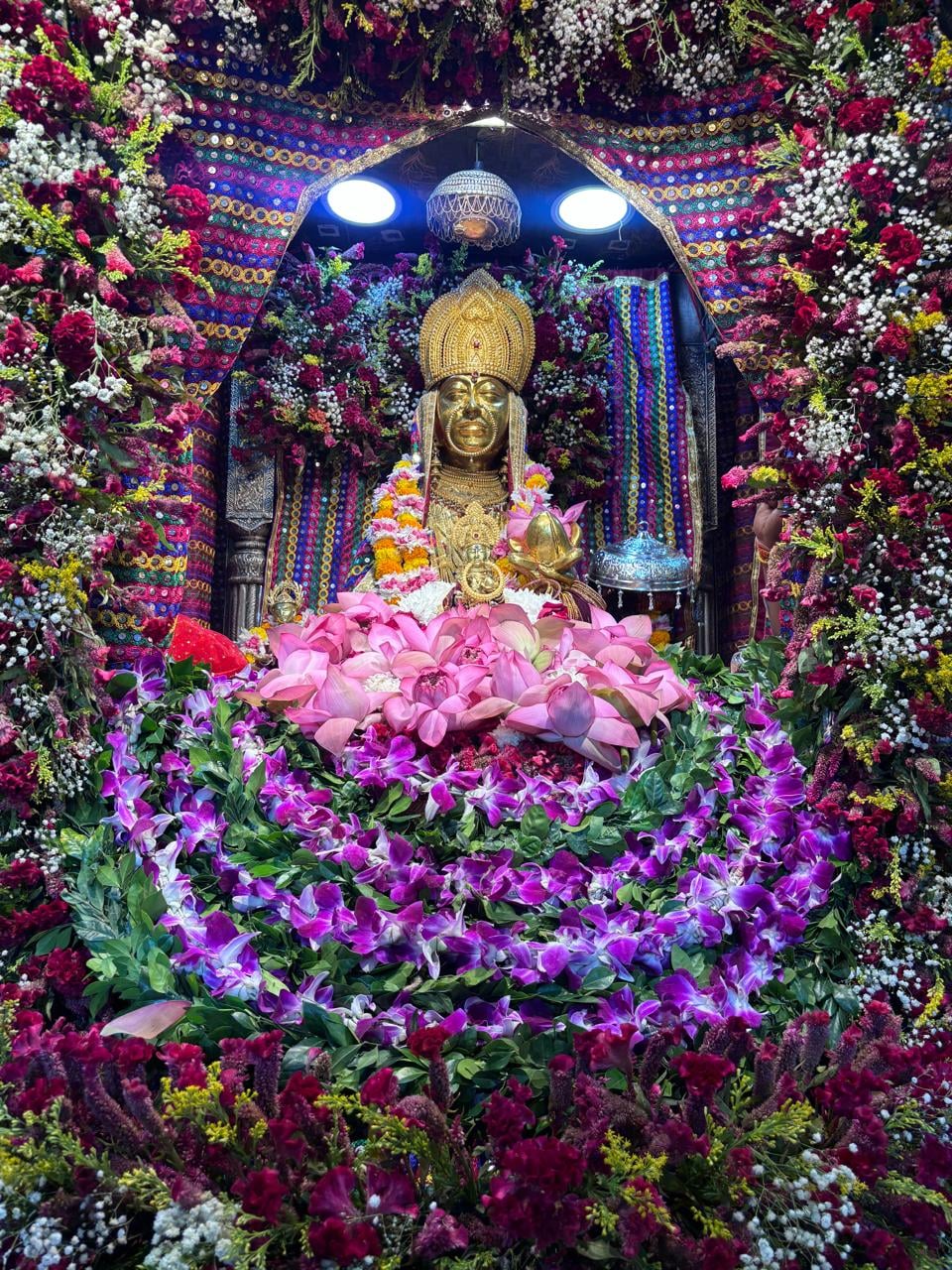 कृतिका गुजराती लुक वाली खबर के लिए कृतिका गुजराती लुक वाली खबर के लिए