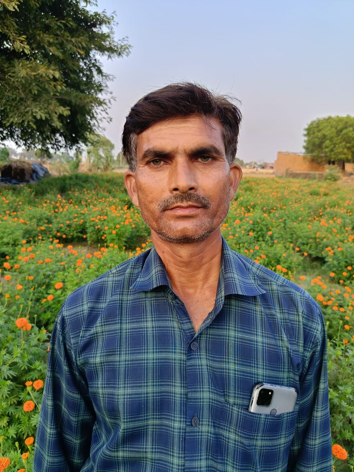 फोटो 14- मोहनपुरा क्षेत्र के गांव खुर्रमपुर में गेंदा की खेती। संवाद फोटो 14- मोहनपुरा क्षेत्र के गांव खुर्रमपुर में गेंदा की खेती। संवाद