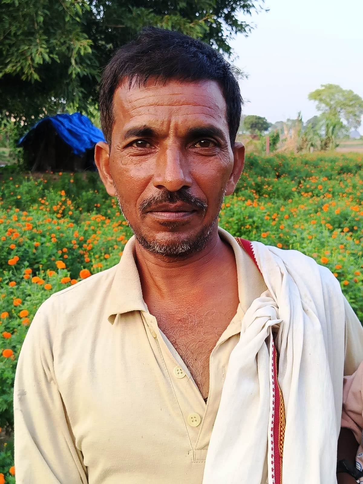 फोटो 14- मोहनपुरा क्षेत्र के गांव खुर्रमपुर में गेंदा की खेती। संवाद फोटो 14- मोहनपुरा क्षेत्र के गांव खुर्रमपुर में गेंदा की खेती। संवाद