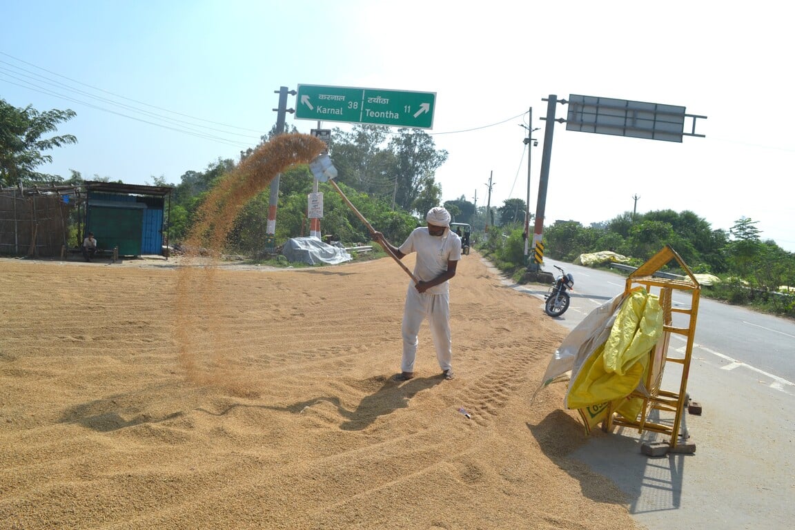 कैथल की नई मंडी में सड़क पर डाला गया धान। संवाद कैथल की नई मंडी में सड़क पर डाला गया धान। संवाद