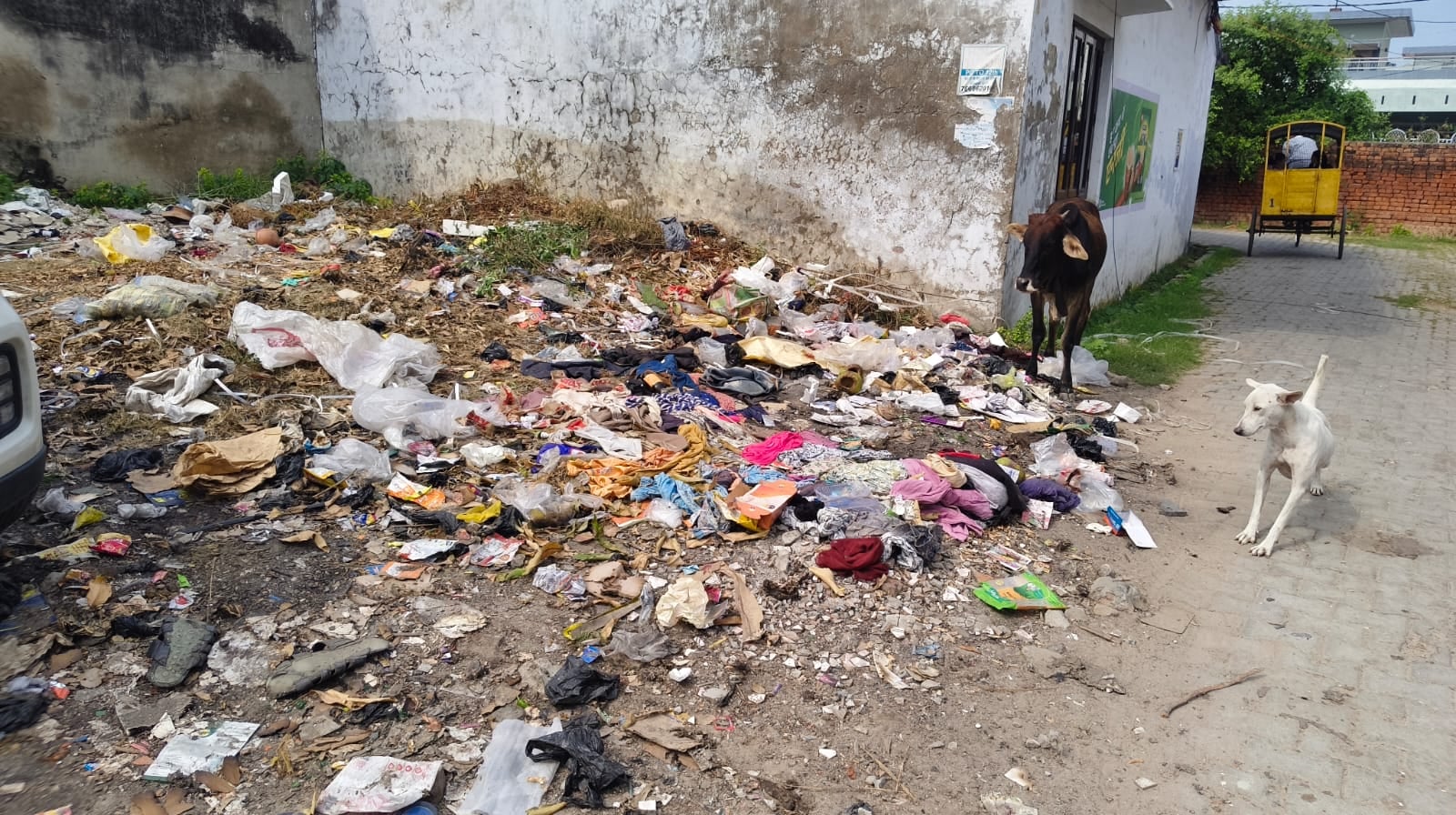 सफाई के आभाव में शिव कॉलोनी में एक प्लाट से लेकर सड़क तक फैला कूड़ा। संवाद सफाई के आभाव में शिव कॉलोनी में एक प्लाट से लेकर सड़क तक फैला कूड़ा। संवाद