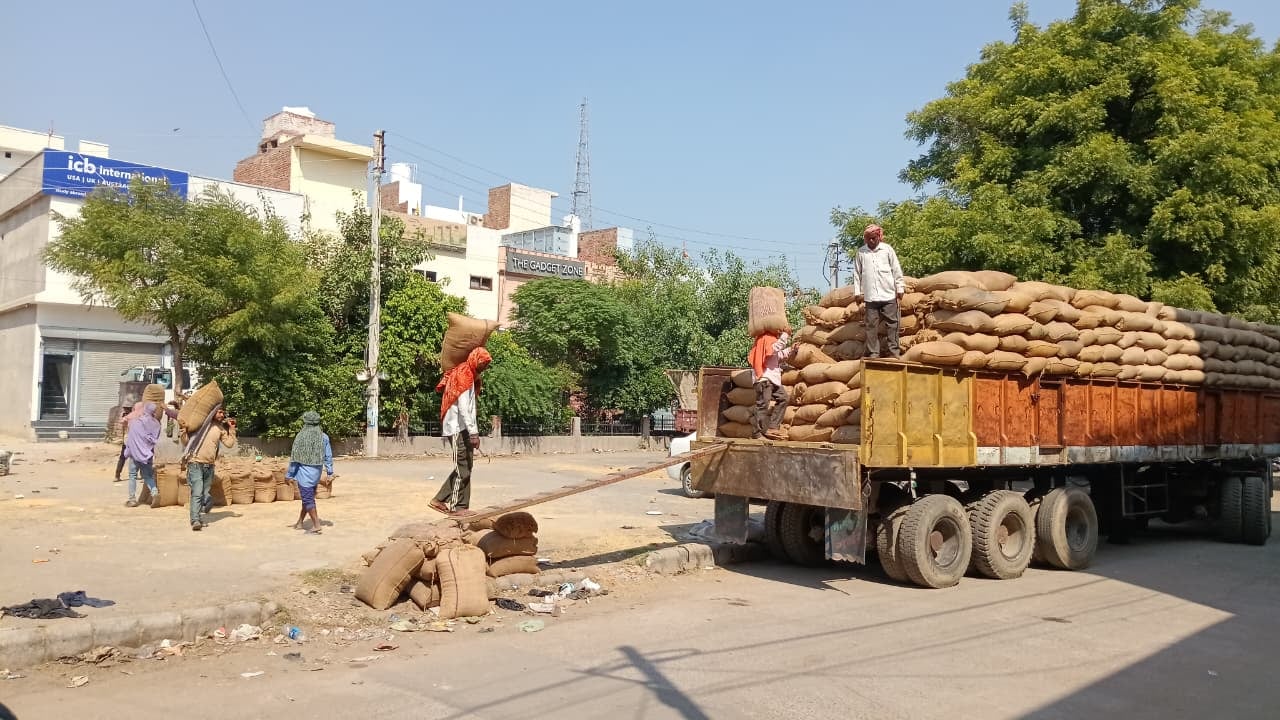 शहर की अतिरिक्त अनाजमंडी में रखी धान की ढेरियां। संवाद