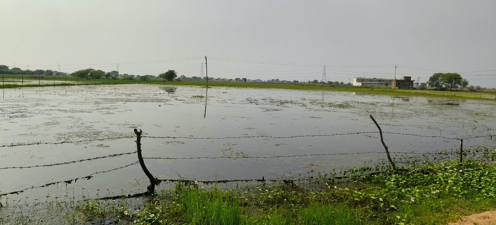 फोटो- 10 अजीज खान, किसान