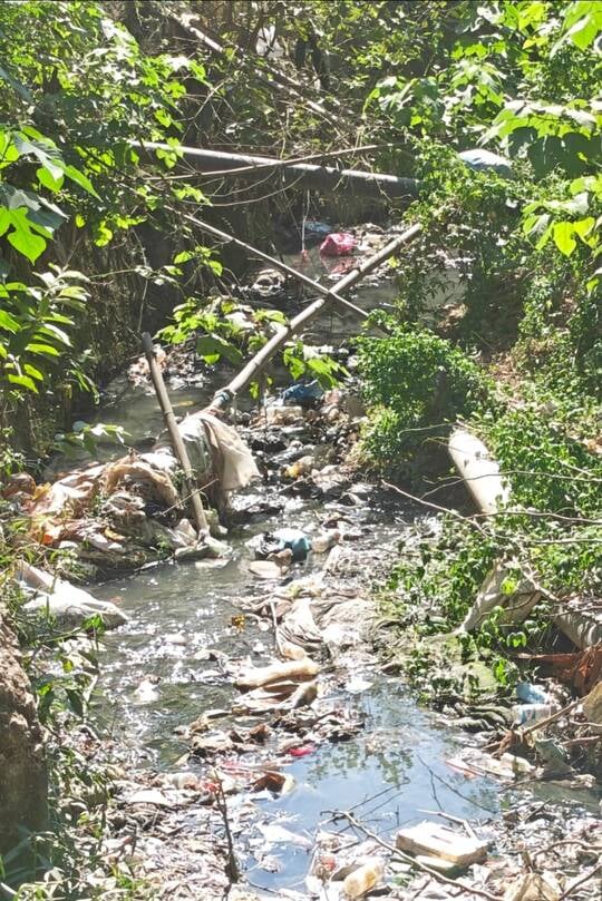 घुमारवीं शहर की नालियों में गंदगी का अंबार, सीरखड्ड तक पहुंच रहा दूषित पानी। संवाद घुमारवीं शहर की नालियों में गंदगी का अंबार, सीरखड्ड तक पहुंच रहा दूषित पानी। संवाद