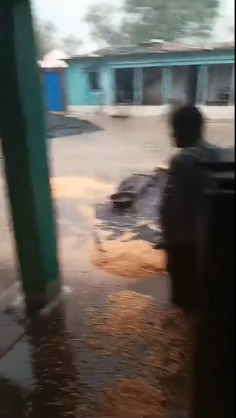 किसान की मक्का की फसल बारिश में बही किसान की मक्का की फसल बारिश में बही