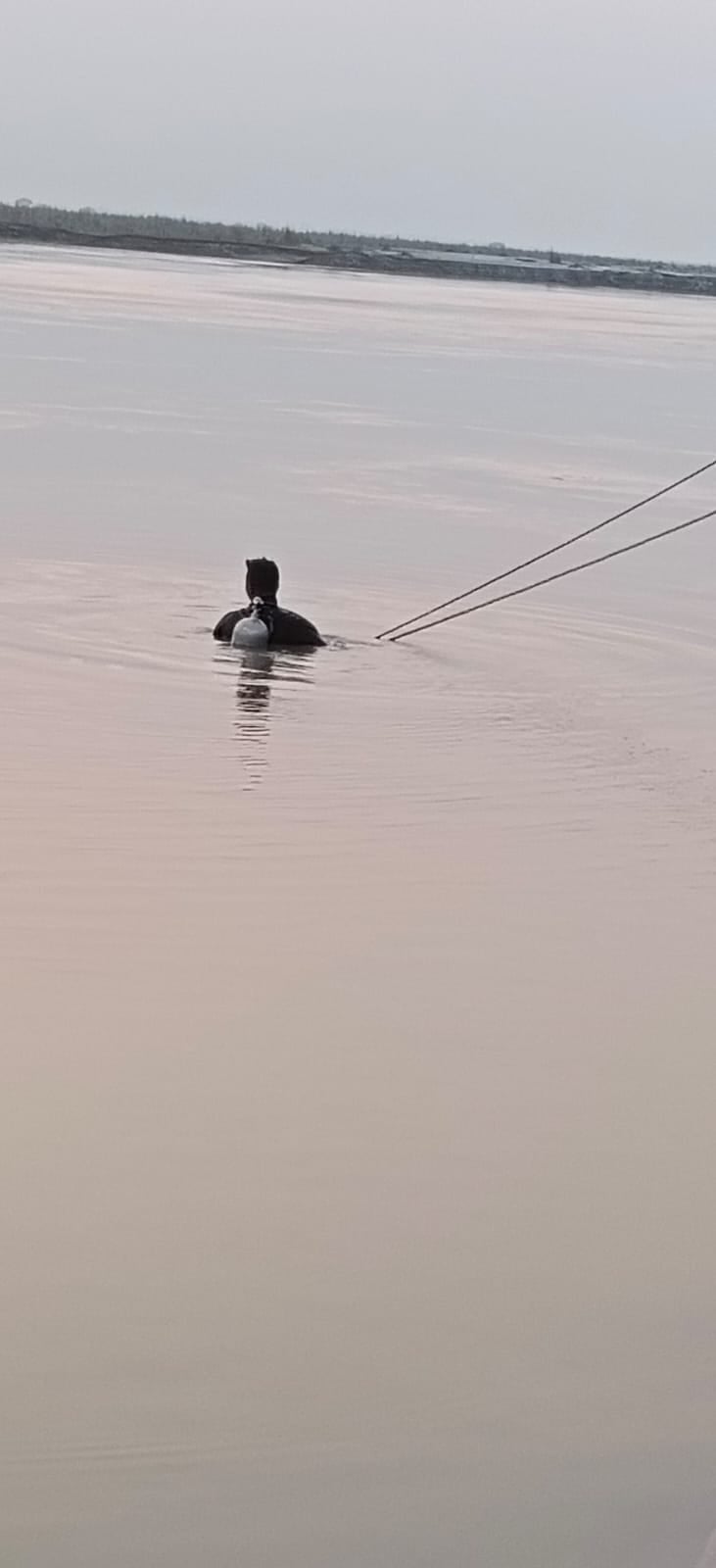 फोटो नवाबगंज 02 अनीता यादव। फोटो नवाबगंज 02 अनीता यादव।