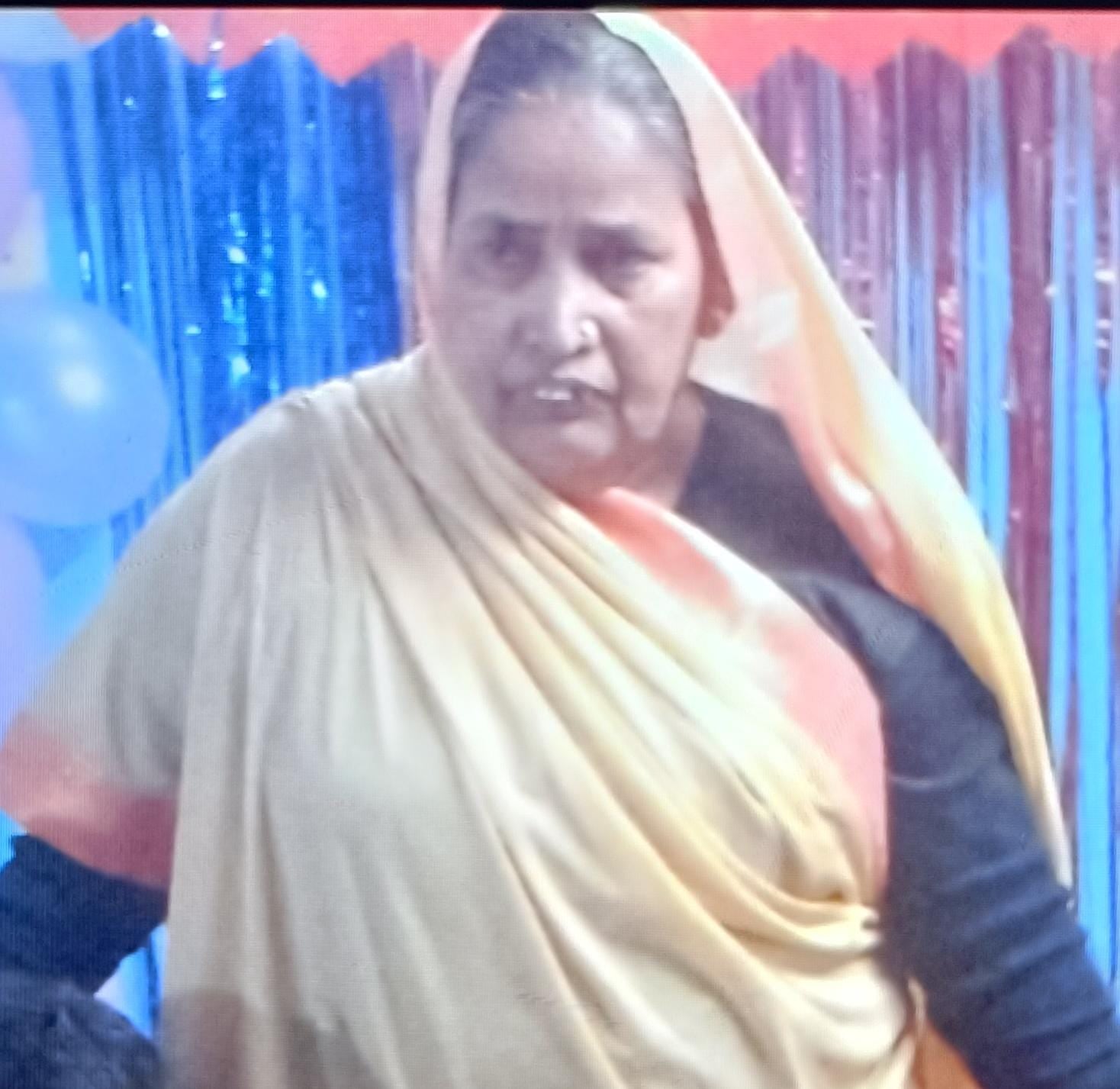 मीरा की फाइल फोटो। 