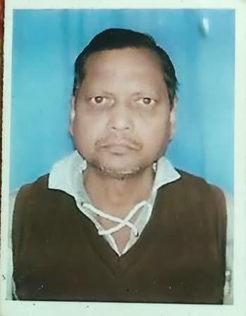 विकास विकास