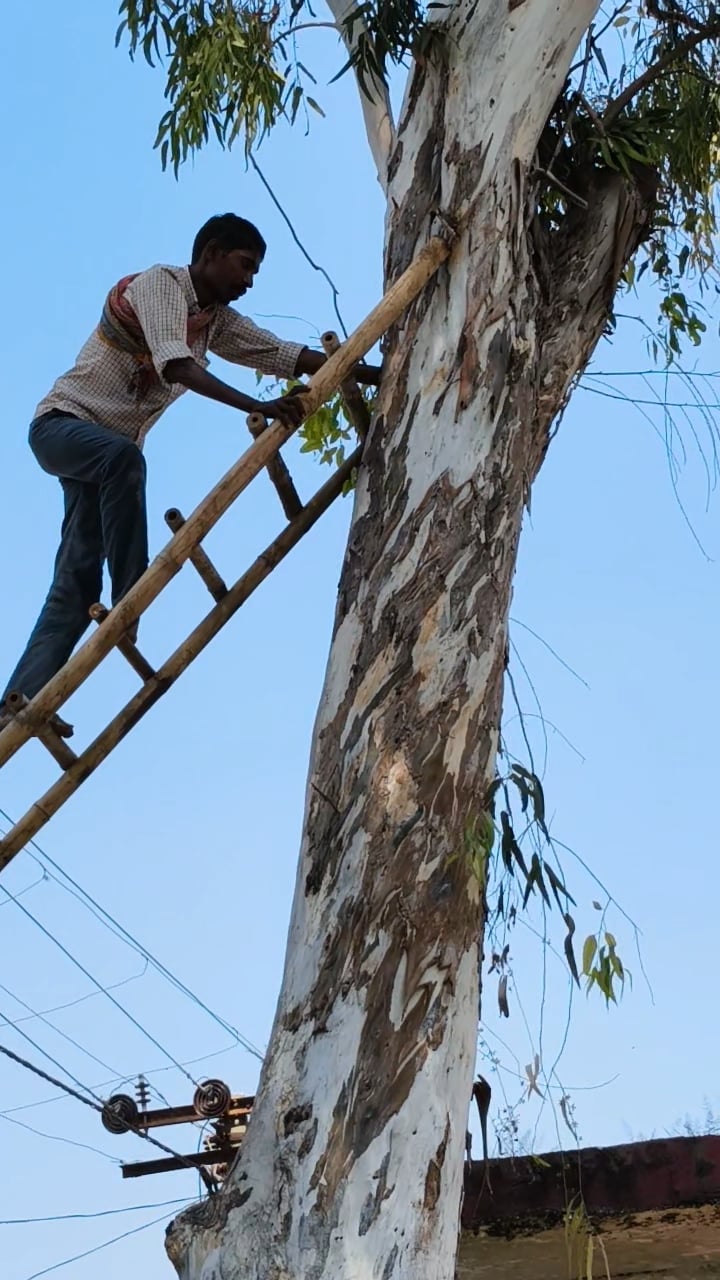 जानी खुर्द। चील को रेस्क्यू कर बचाने वाली टीम फोटो स्वयं जानी खुर्द। चील को रेस्क्यू कर बचाने वाली टीम फोटो स्वयं