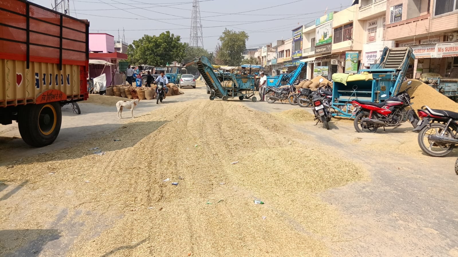 शहर की पुरानी अनाजमंडी में रखे धान के बैग। संवाद