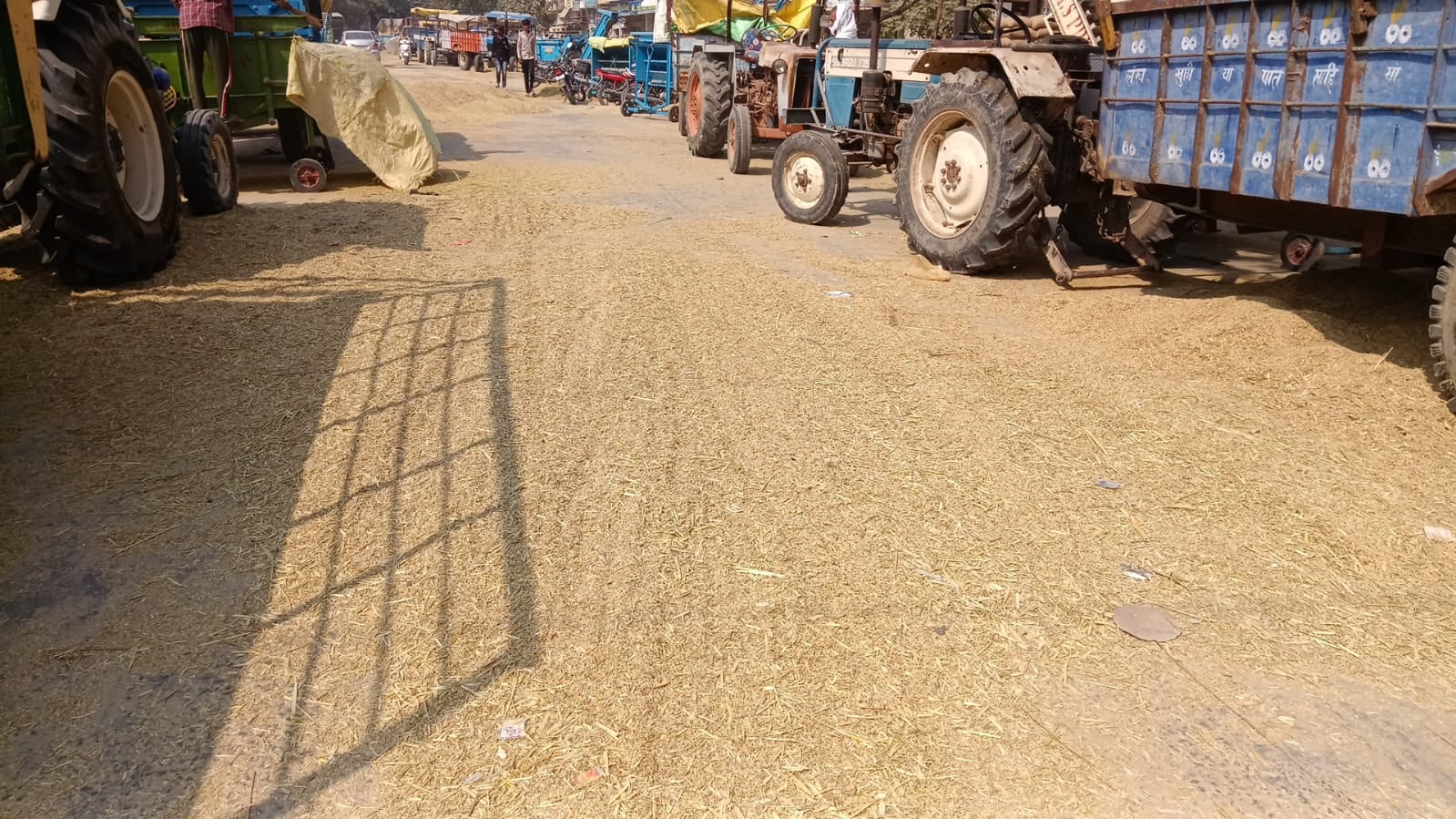 शहर की पुरानी अनाजमंडी में रखे धान के बैग। संवाद