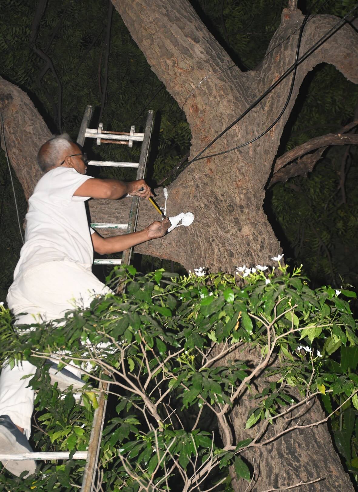 गन्ना संस्थान के गेट पर प्रदर्शन करते भाकियू के राष्ट्रीय प्रवक्ता राकेश टिकैत व अन्य कार्यकर्त गन्ना संस्थान के गेट पर प्रदर्शन करते भाकियू के राष्ट्रीय प्रवक्ता राकेश टिकैत व अन्य कार्यकर्त