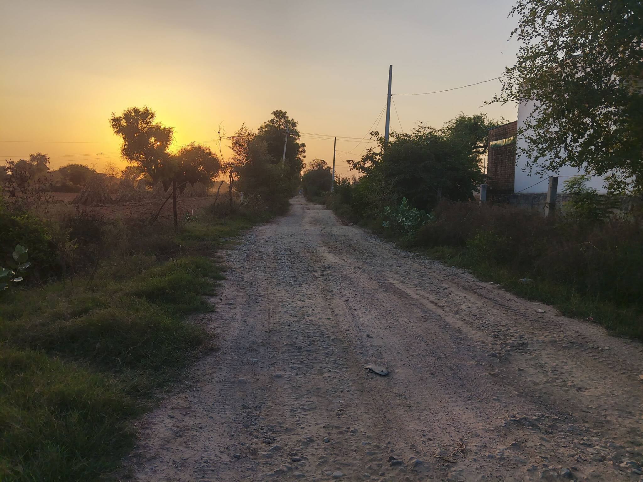 फोटो 01 शेर सिंह फोटो 01 शेर सिंह