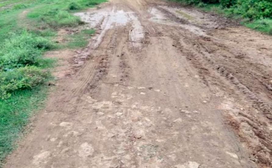 फोटो 25 सीकेटीपी 12 रगौली का कच्चा रास्ता। संवाद फोटो 25 सीकेटीपी 12 रगौली का कच्चा रास्ता। संवाद