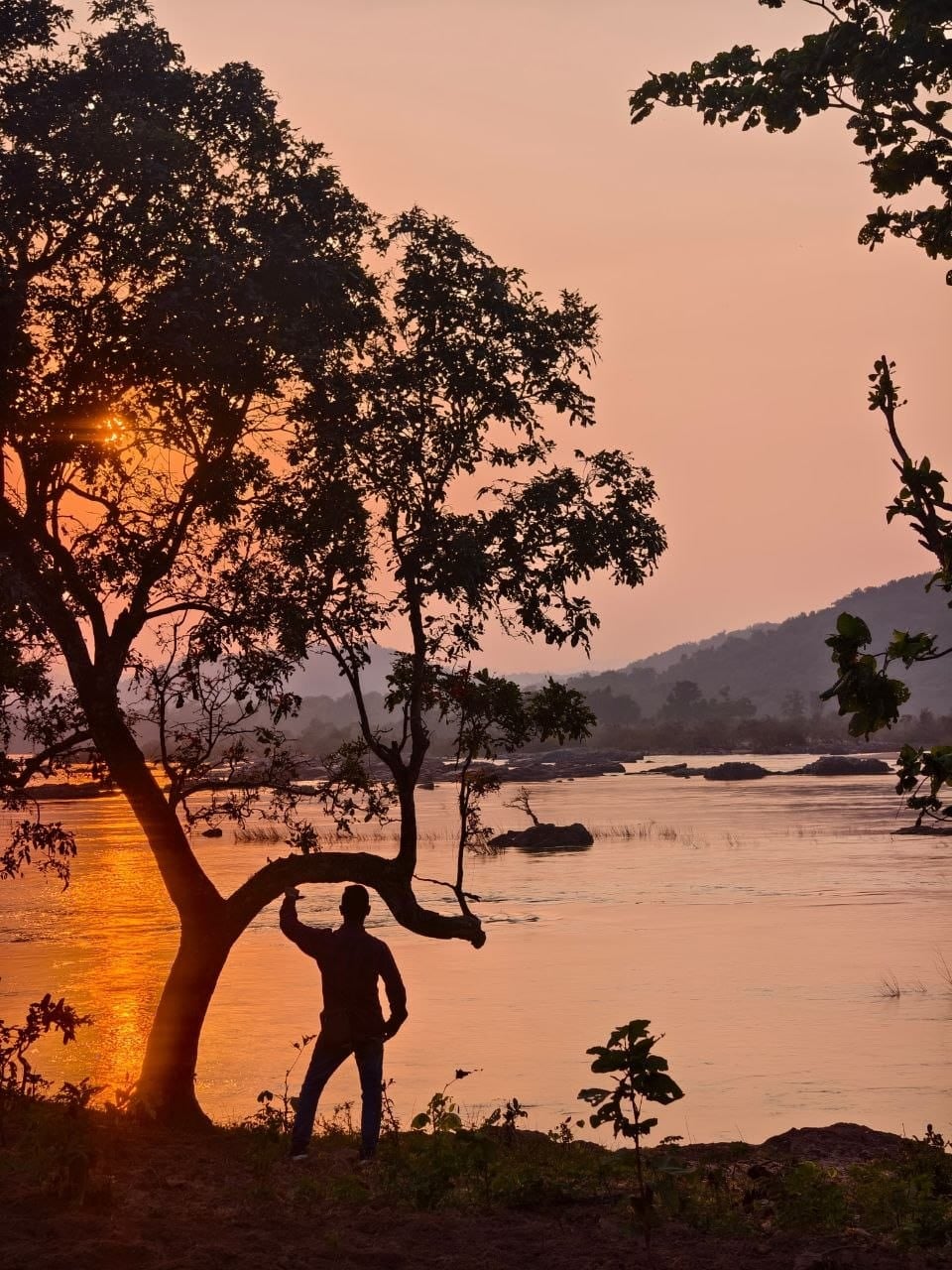 इंद्रावती टायगर रिजर्व के जंगल व नदी का मनोरम दॄश्य