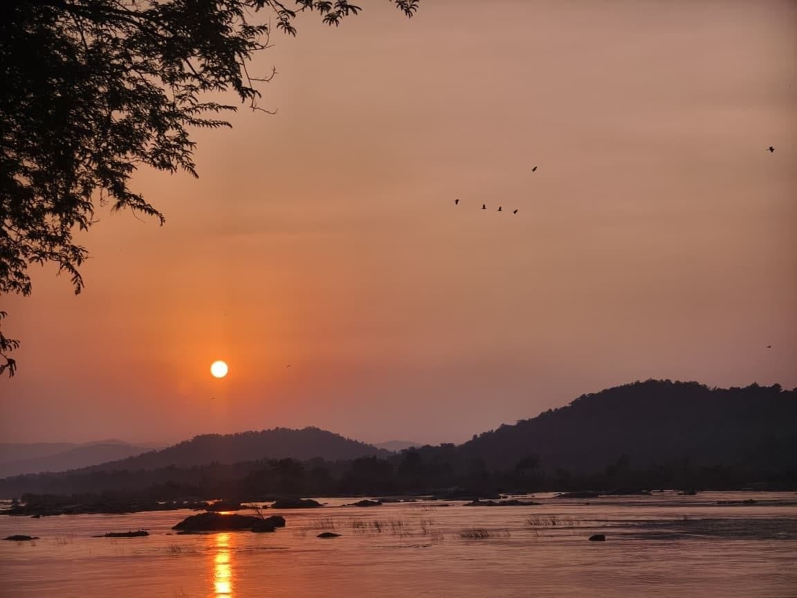 इंद्रावती टायगर रिजर्व के जंगल व नदी का मनोरम दॄश्य