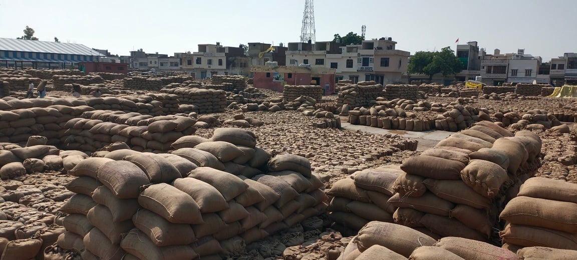 अनाज मंडी में खुले आसमान के नीचे पड़ी बारिश में भीगी धान। संवाद अनाज मंडी में खुले आसमान के नीचे पड़ी बारिश में भीगी धान। संवाद