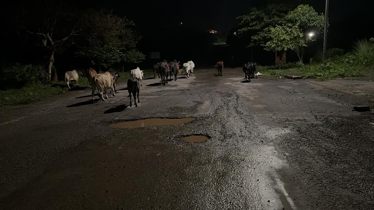 बरोटीवाला के मधाला स्थित हाऊसिंग बोर्ड कालोनी को जोड़ने वाली सड़क टूटी- संवाद। बरोटीवाला के मधाला स्थित हाऊसिंग बोर्ड कालोनी को जोड़ने वाली सड़क टूटी- संवाद।