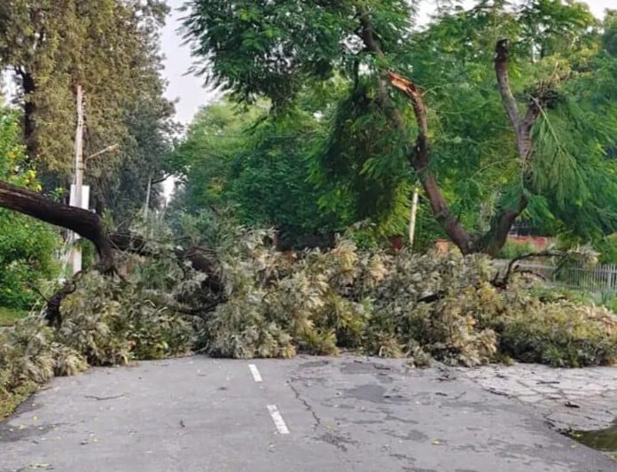 कुरुक्षेत्र। बिजली खराब होने के बाद लाइन दुरुस्त करता कर्मचारी। संवाद