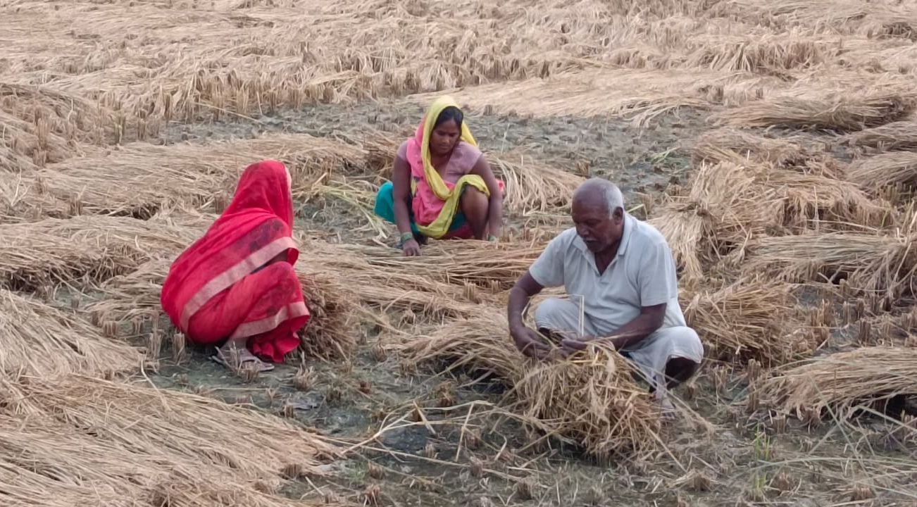 खेताें में फसल समेटते किसान व शहर में छाए रहे बादल। संवाद
