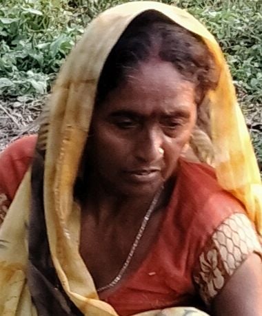 तकिया गांव में सिरधरपुर मार्ग पर फसल सुखाकर बोरे में भरती महिला किसान। तकिया गांव में सिरधरपुर मार्ग पर फसल सुखाकर बोरे में भरती महिला किसान।