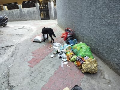 दयानंद चौक के समीप सड़क किनारे लगा कचरे का ढेर। संवाद दयानंद चौक के समीप सड़क किनारे लगा कचरे का ढेर। संवाद