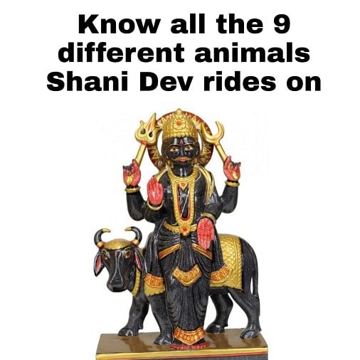 Know The 9 Different Animals Shani Dev Rides On My Jyotish