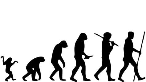 Know How did the human life started after the creation of this universe