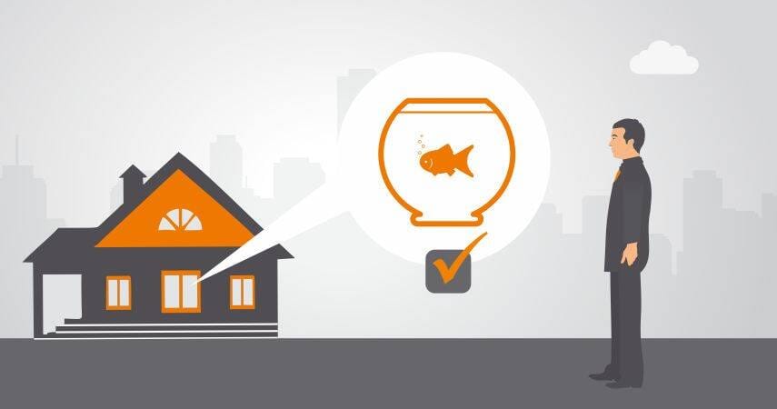 Vastu Tips : Fish aquarium