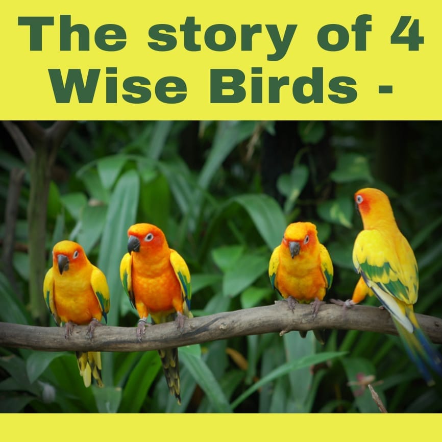 The story of Four Wise Birds