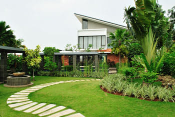 VASTU TIPS FOR PLANTS AND TREES AT HOME