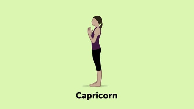 capricorn
