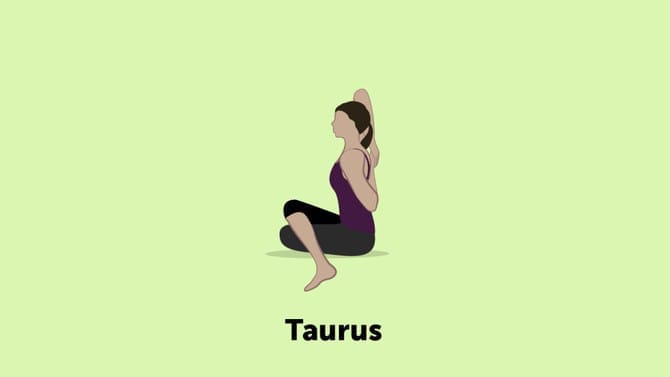 taurus