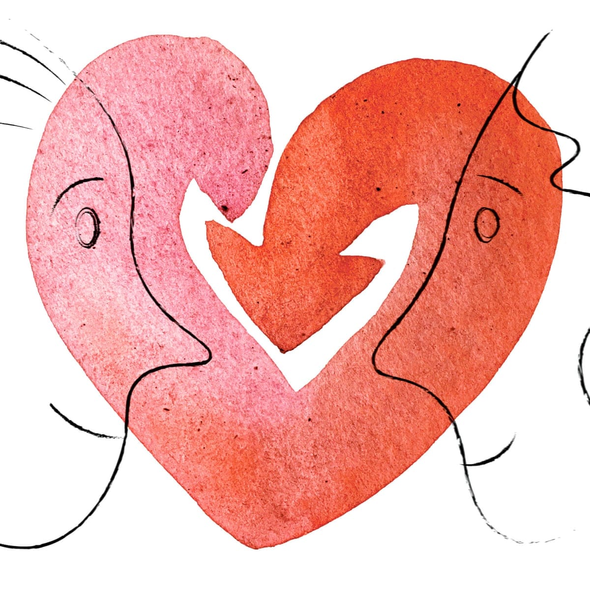 Compatibility Analysis