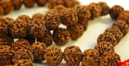 Know the significance and benefits of wearing Rudraksha and seek blessings of Lord Shiva