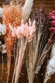 Easy Vastu Remedies – If you want Maa Lakshmi blessings then quickly remove these 5 things: