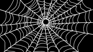 Easy Vastu Remedies – If you want Maa Lakshmi blessings then quickly remove these 5 things: