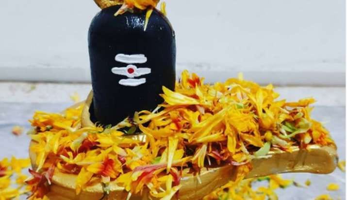 Sawan Month Puja Method