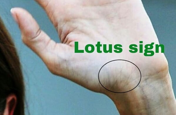 Palmistry: Find out which marks on your  plans have an important impact on your life