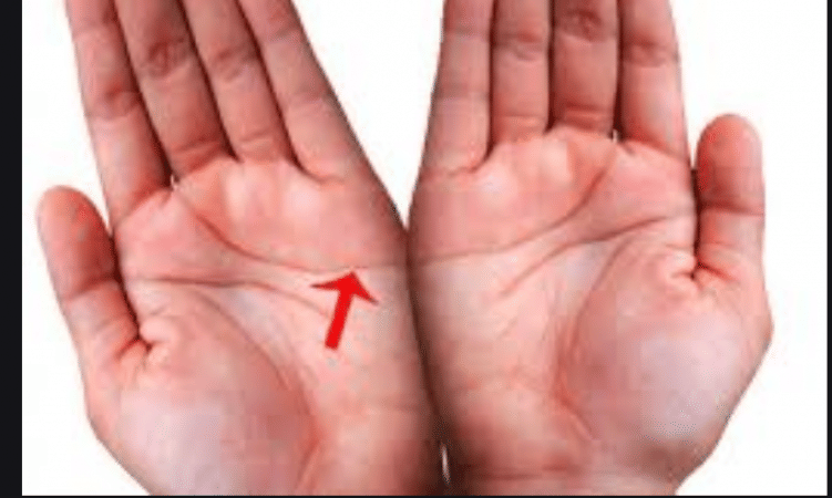 Palmistry: Find out which marks on your  plans have an important impact on your life