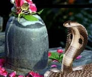 Nag panchami 2021: Read the Significance, Auspicious timings, Date and Remedies