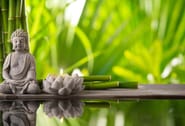 Chinese remedies for evoking positive energy at home