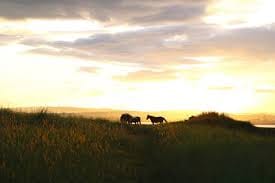 Garuda Purana: Know which five habits of a person make him poor or bankrupt.