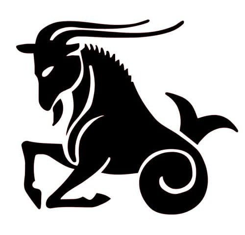 Capricorn Zodiac Sign